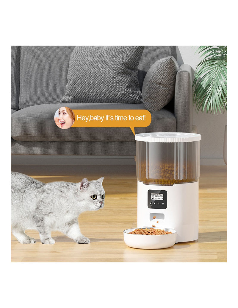 Alimentador Automático p/Animal de Estimação